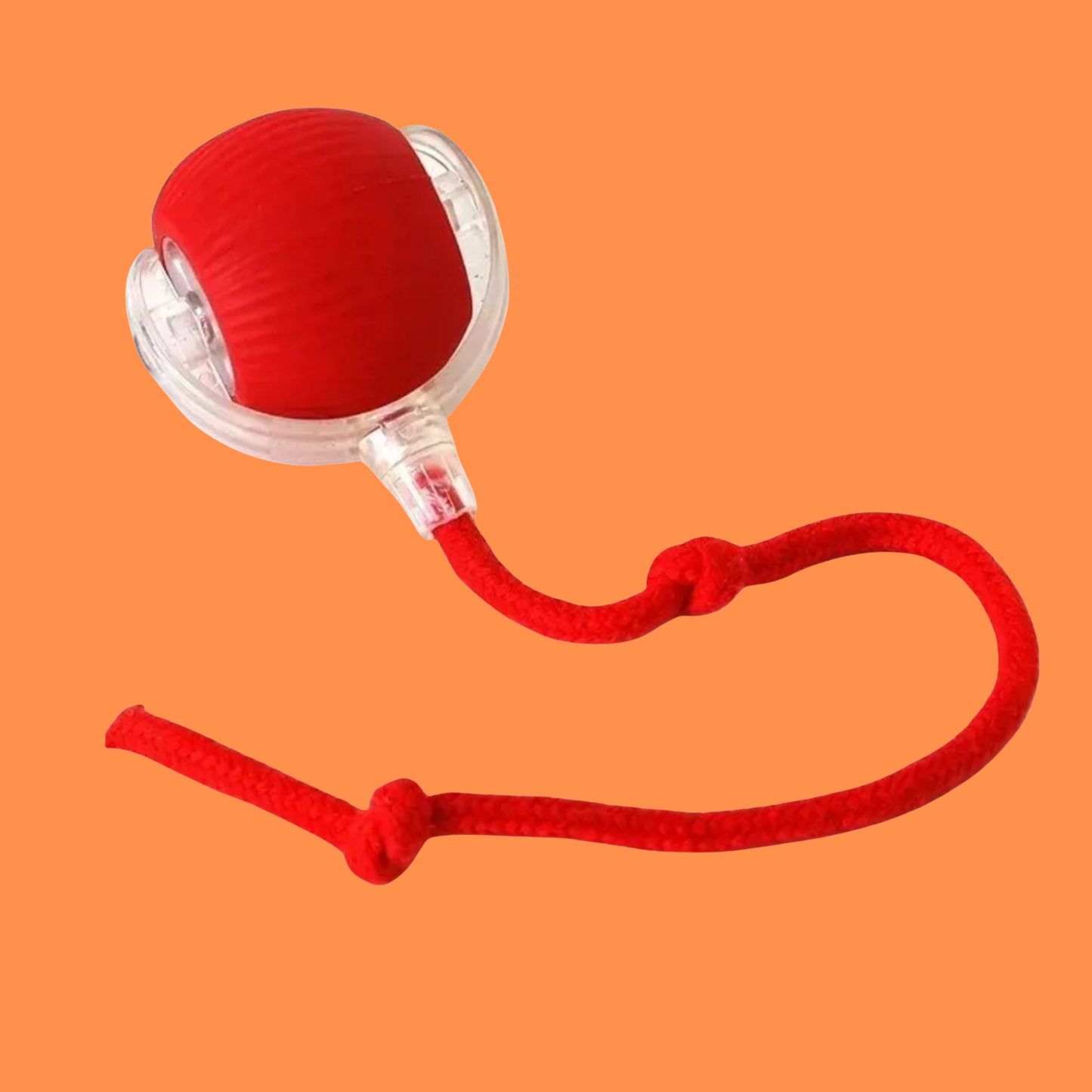 TailChaser Ball – Auto-Rolling Smart Cat Toy with Lights
