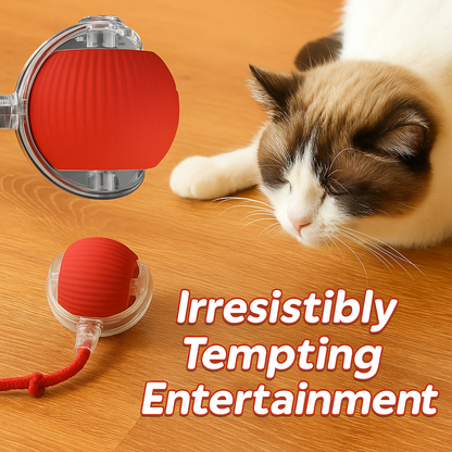 TailChaser Ball – Auto-Rolling Smart Cat Toy with Lights