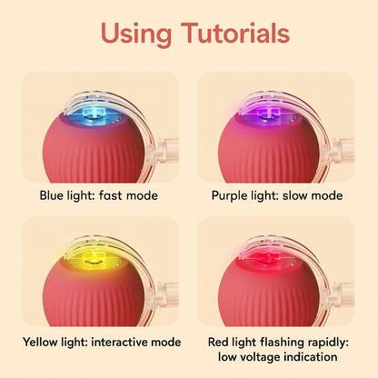 TailChaser Ball – Auto-Rolling Smart Cat Toy with Lights