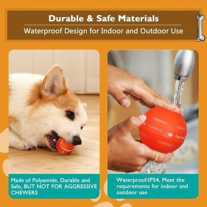 Viral TurboPaw™ Smart Ball