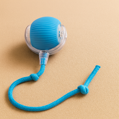 TailChaser Ball – Auto-Rolling Smart Cat Toy with Lights