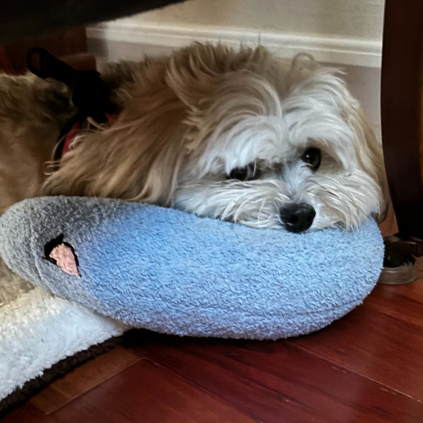 PawHug™ Calming Pillow