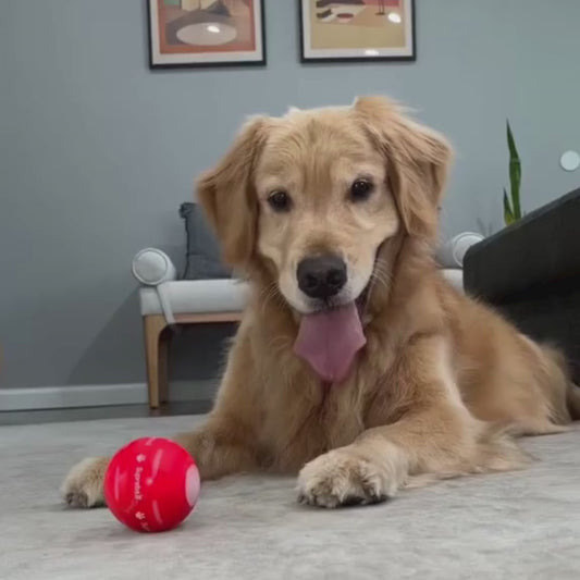 Viral TurboPaw™ Smart Ball